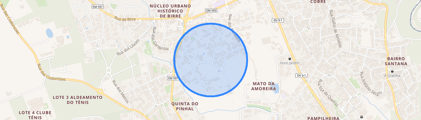 listing-map-picture