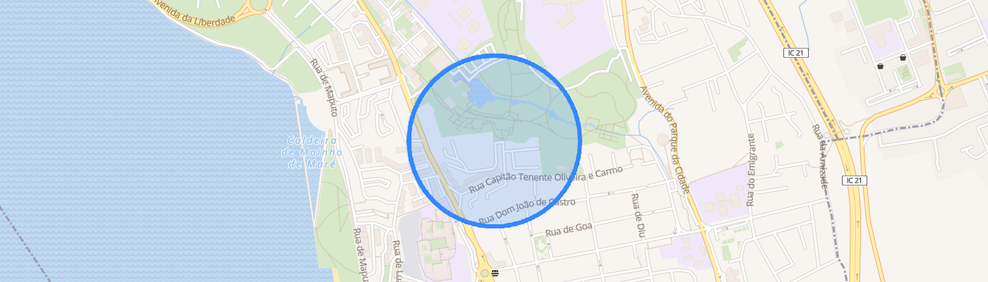 listing-map-picture