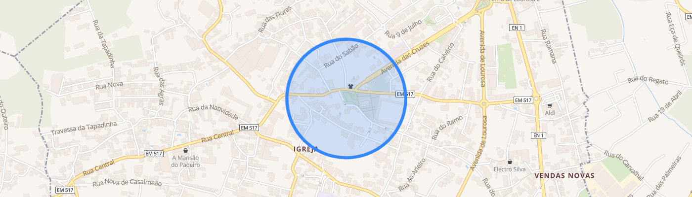 listing-map-picture