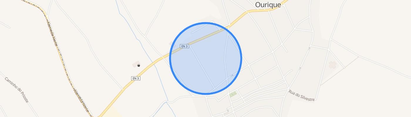 listing-map-picture
