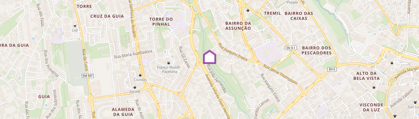 listing-map-picture
