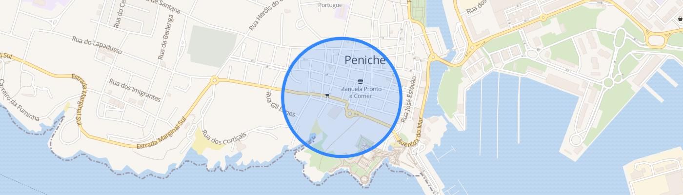 listing-map-picture