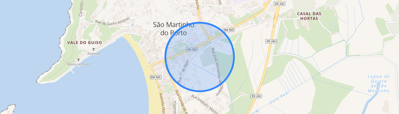 listing-map-picture