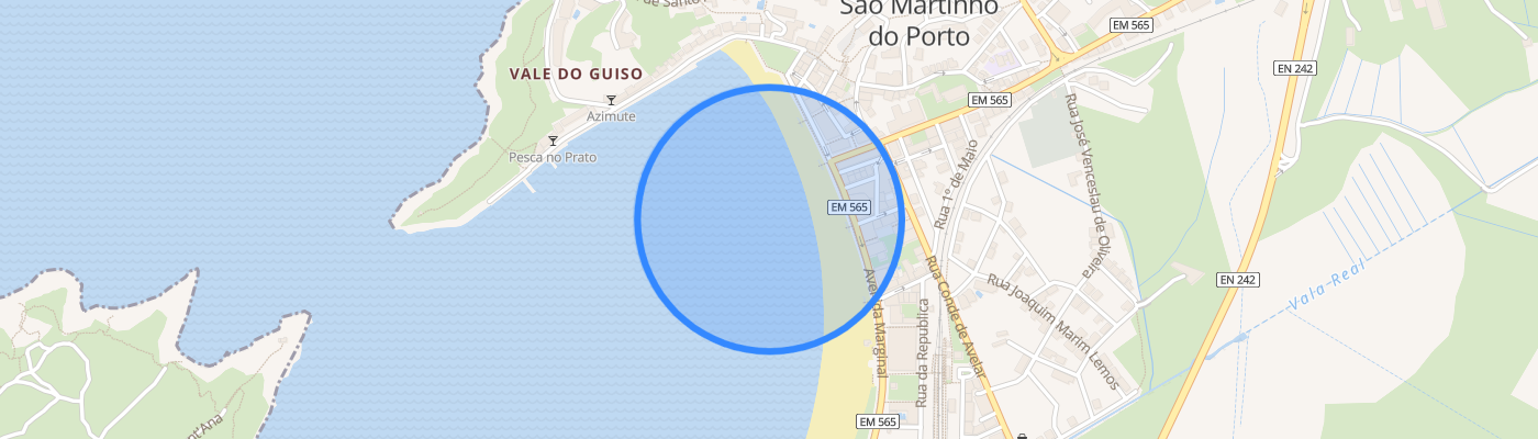 listing-map-picture