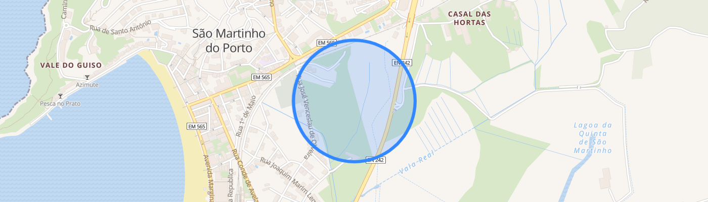 listing-map-picture