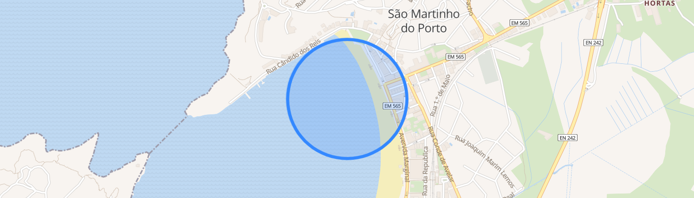 listing-map-picture