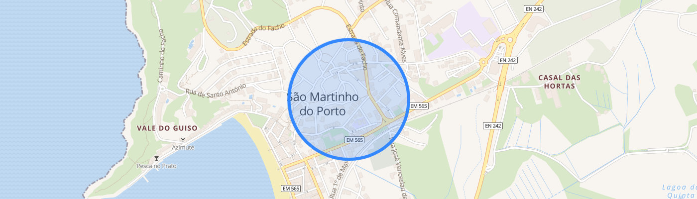 listing-map-picture