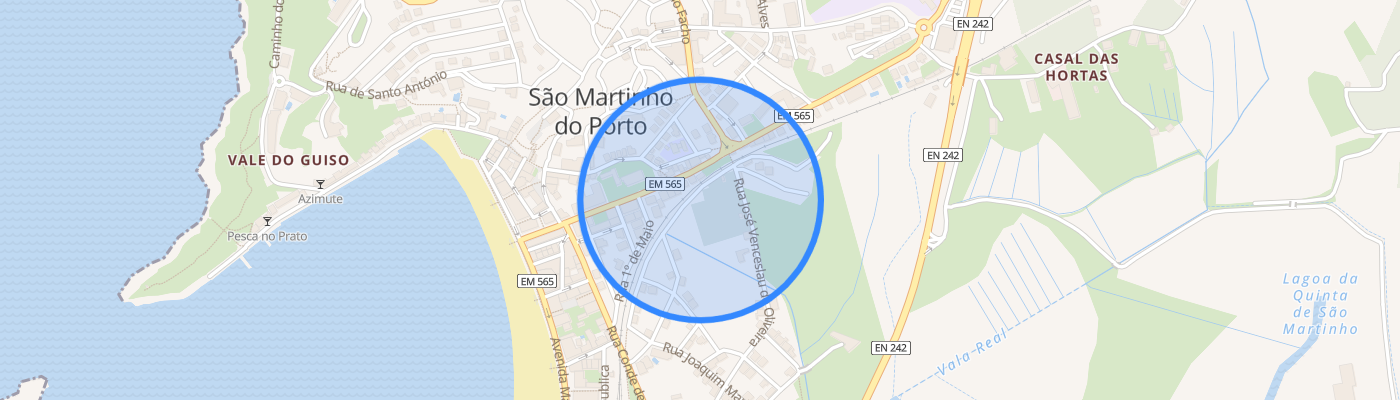 listing-map-picture