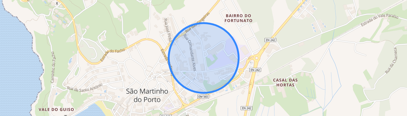 listing-map-picture