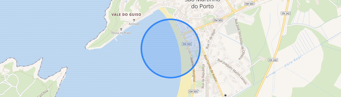 listing-map-picture