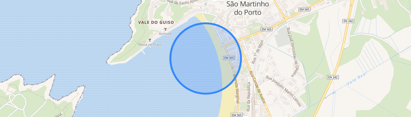 listing-map-picture