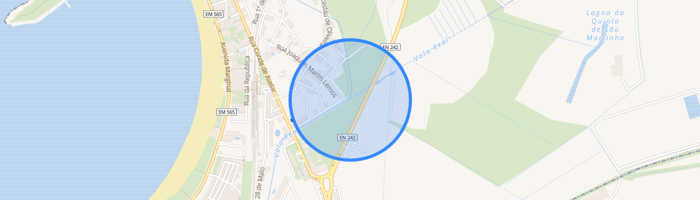 listing-map-picture