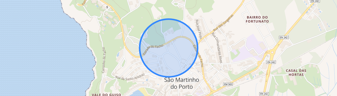 listing-map-picture