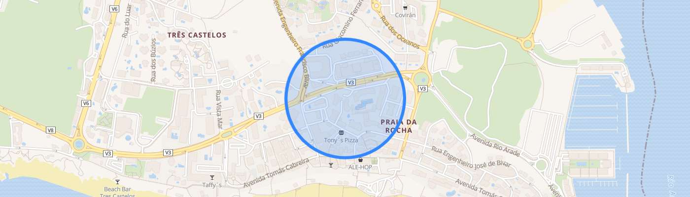 listing-map-picture