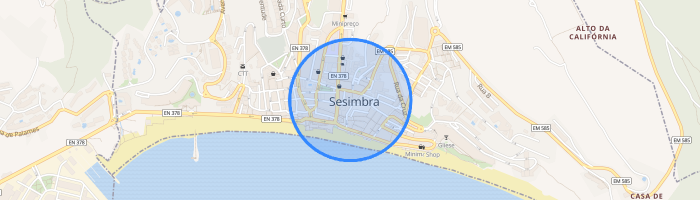 listing-map-picture