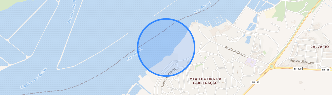 listing-map-picture