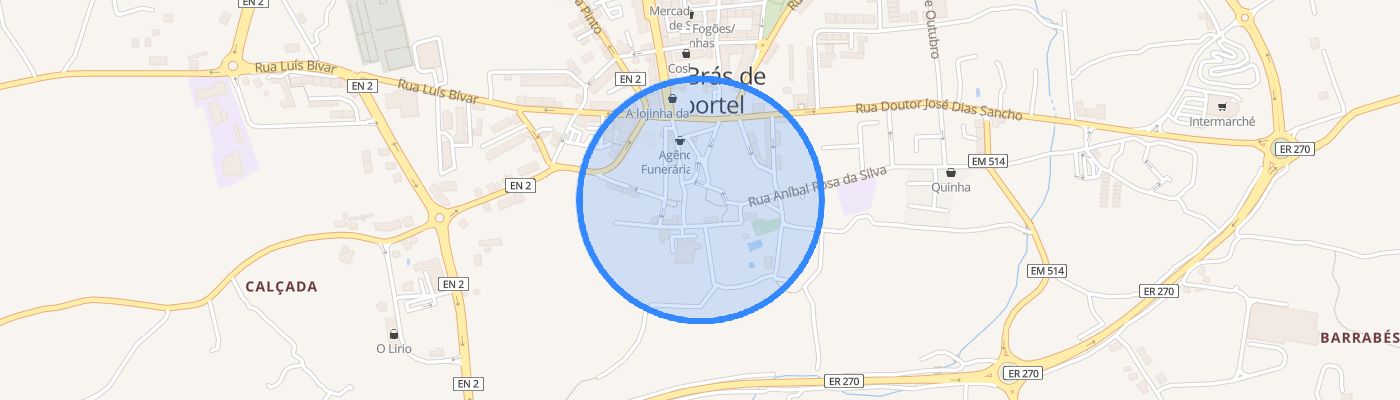 listing-map-picture