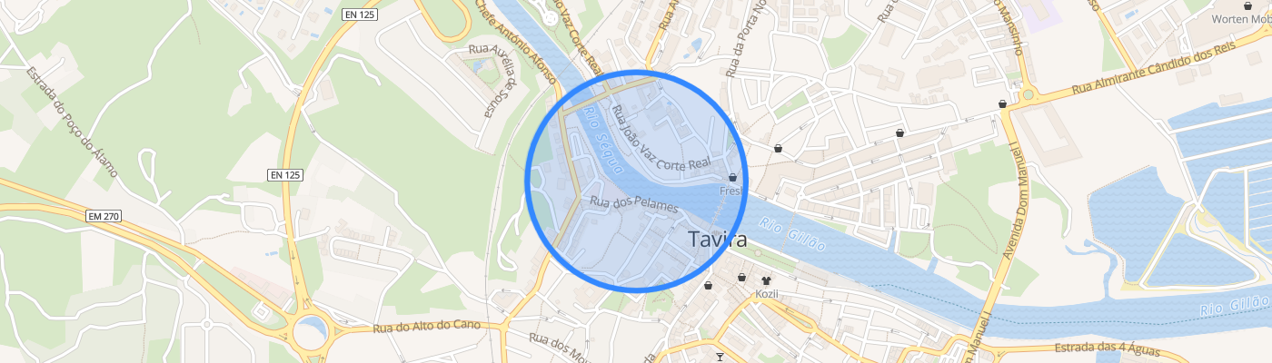 listing-map-picture
