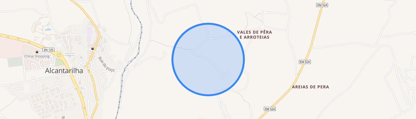 listing-map-picture