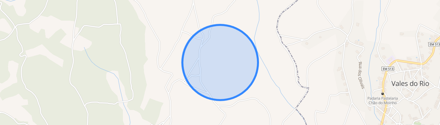 listing-map-picture