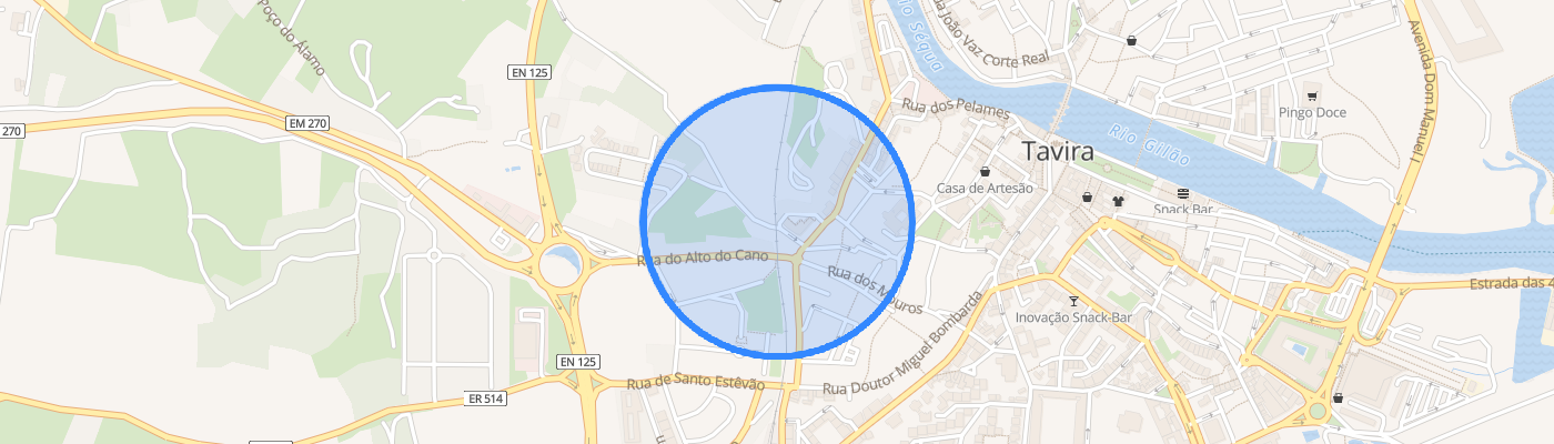 listing-map-picture