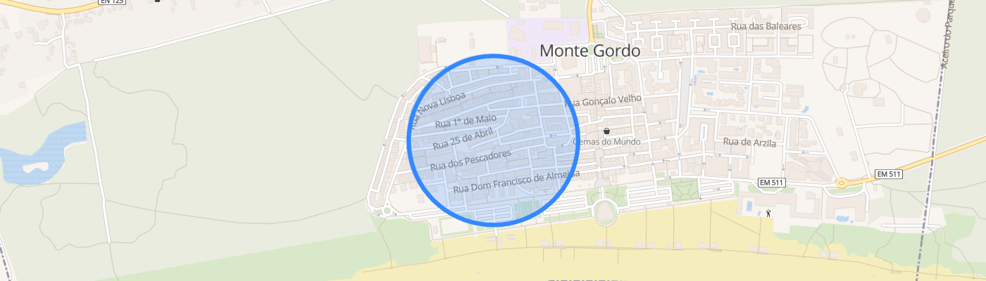 listing-map-picture