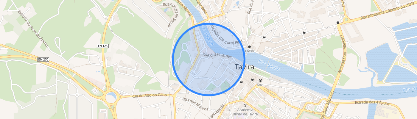 listing-map-picture