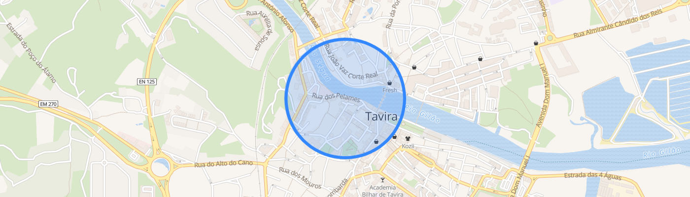 listing-map-picture