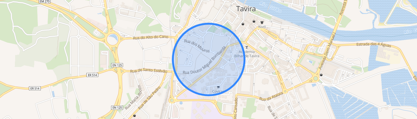 listing-map-picture