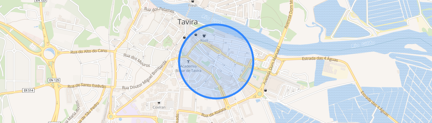 listing-map-picture