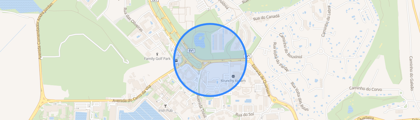 listing-map-picture