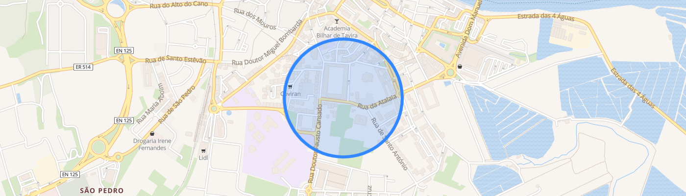 listing-map-picture