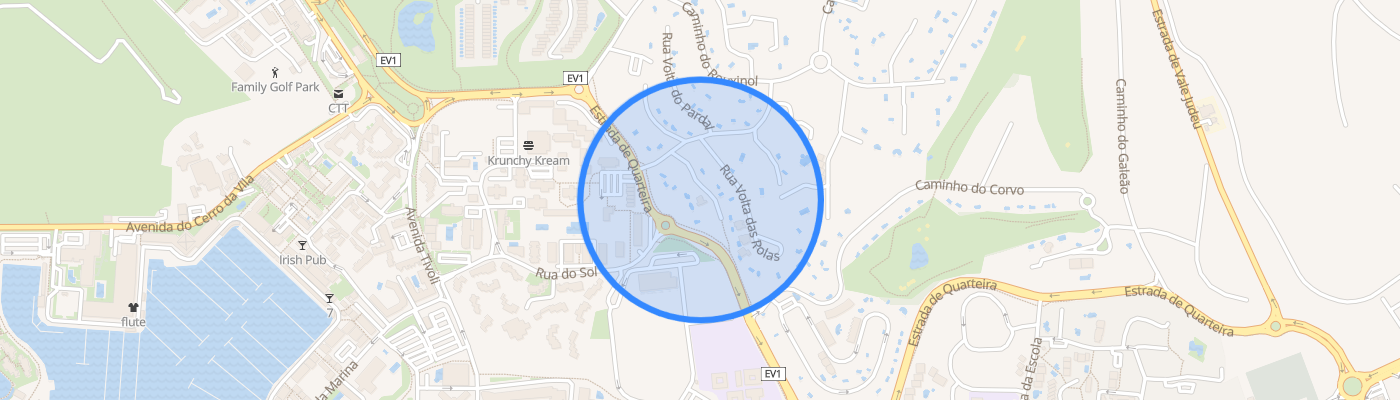 listing-map-picture