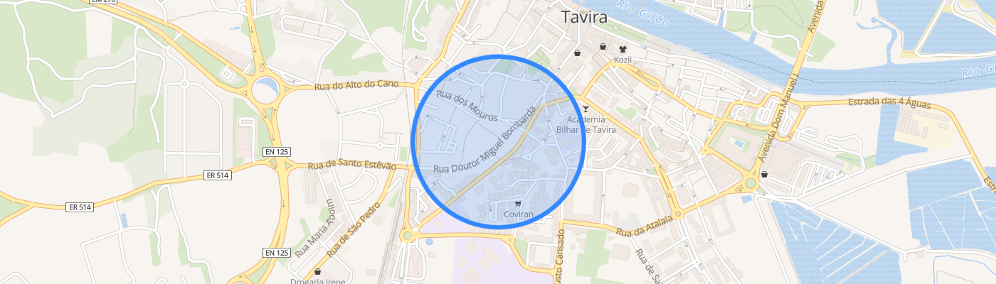 listing-map-picture