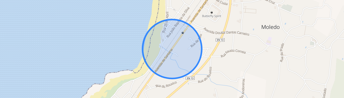 listing-map-picture