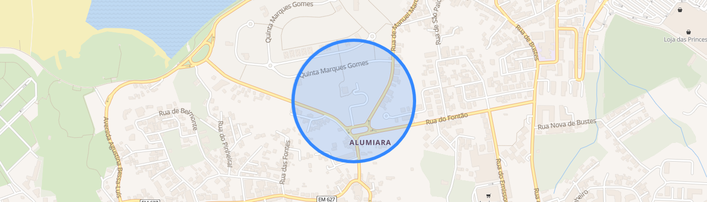 listing-map-picture