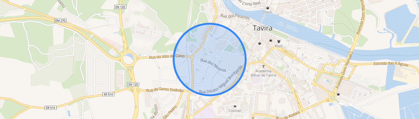 listing-map-picture