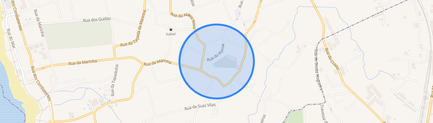 listing-map-picture