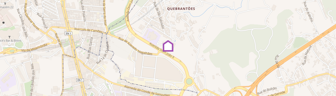 listing-map-picture