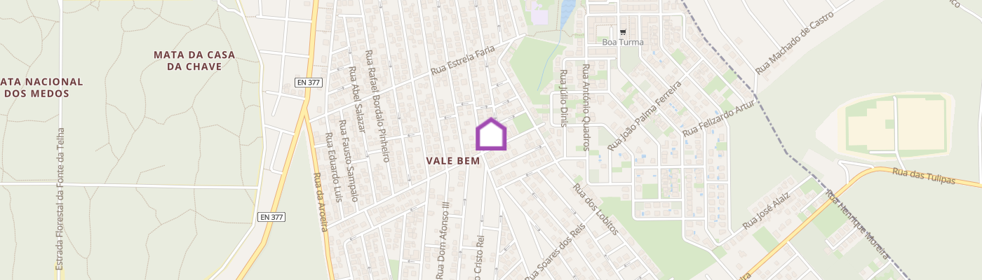 listing-map-picture