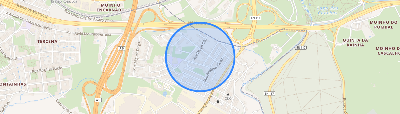 listing-map-picture