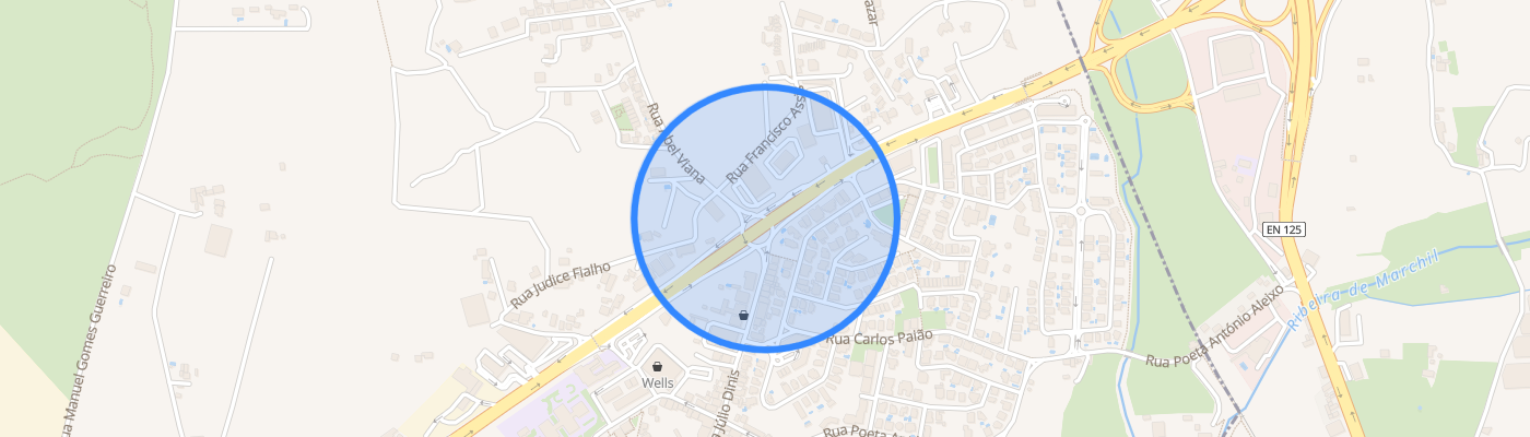 listing-map-picture