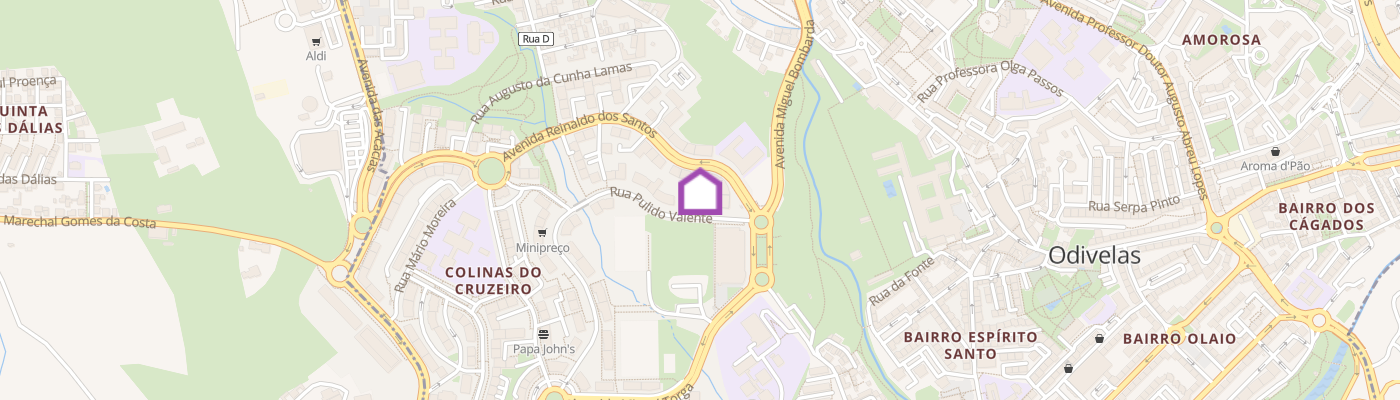 listing-map-picture