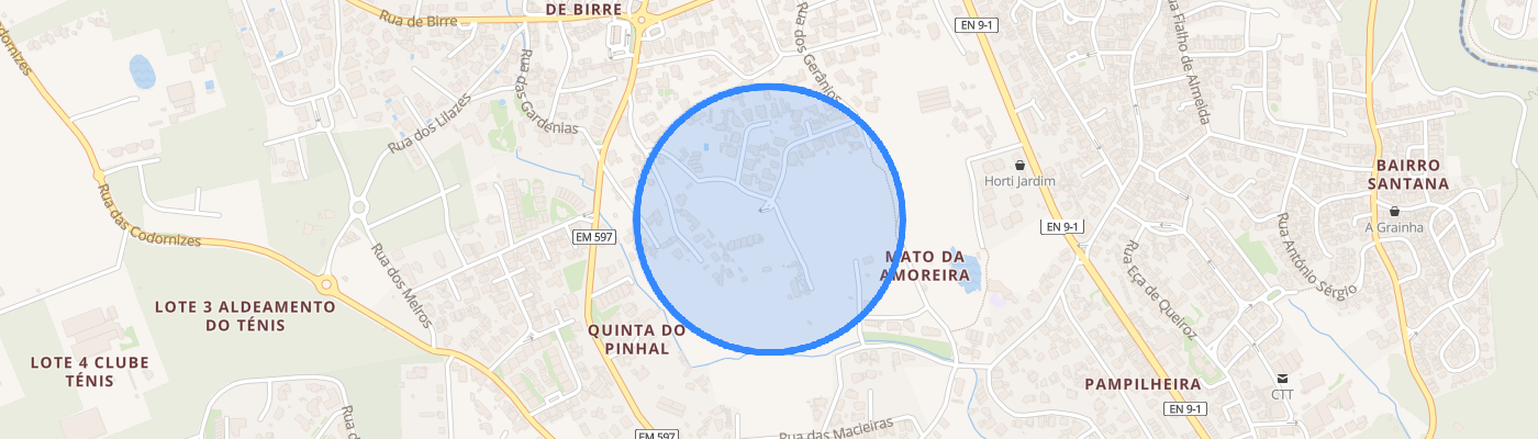 listing-map-picture