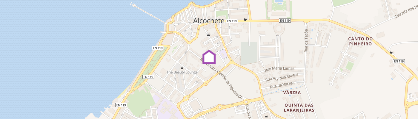 listing-map-picture