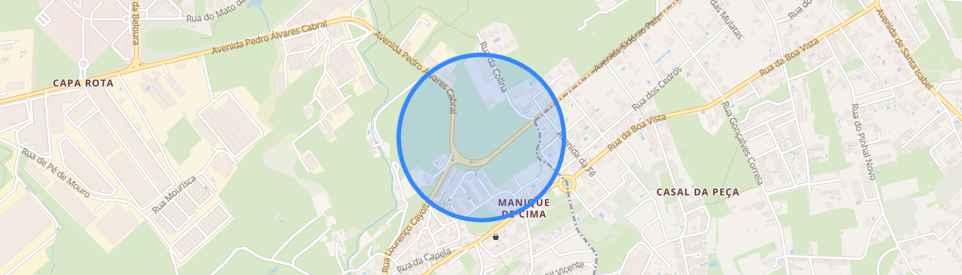 listing-map-picture