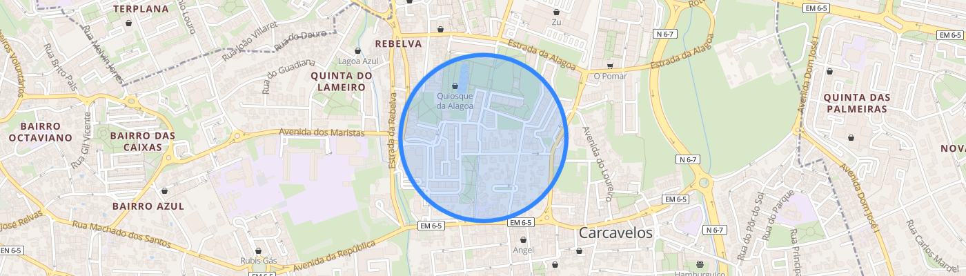 listing-map-picture
