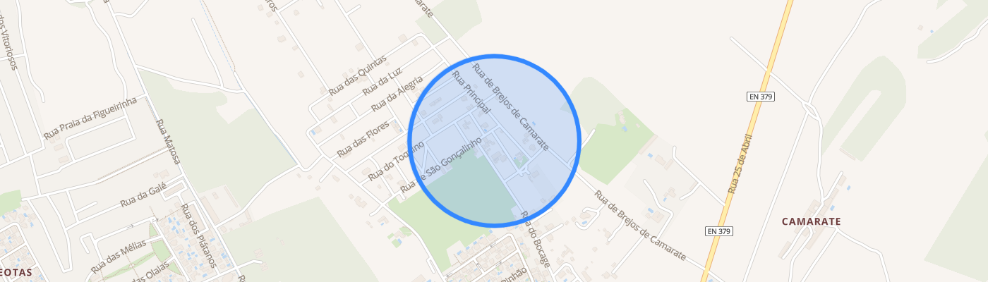 listing-map-picture
