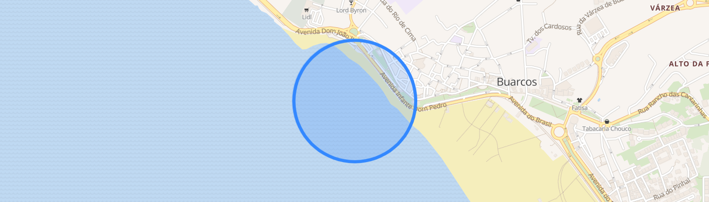 listing-map-picture