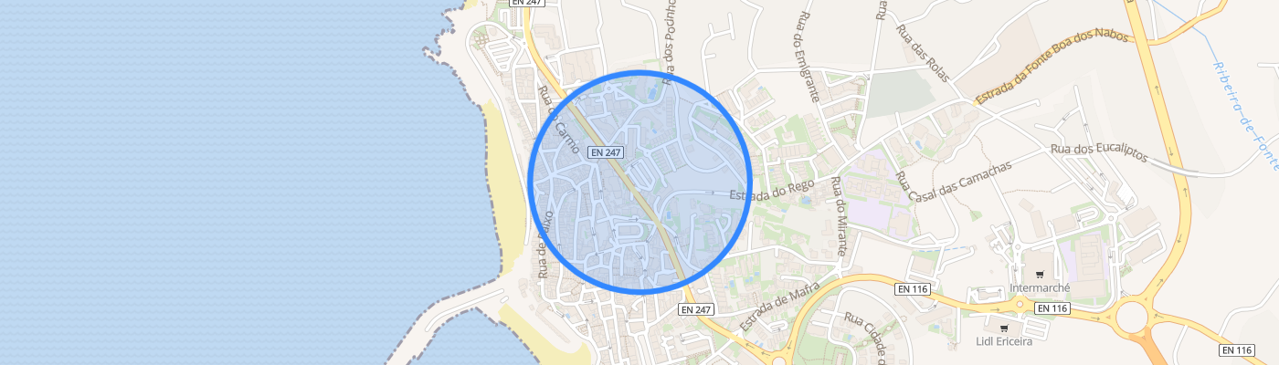 listing-map-picture